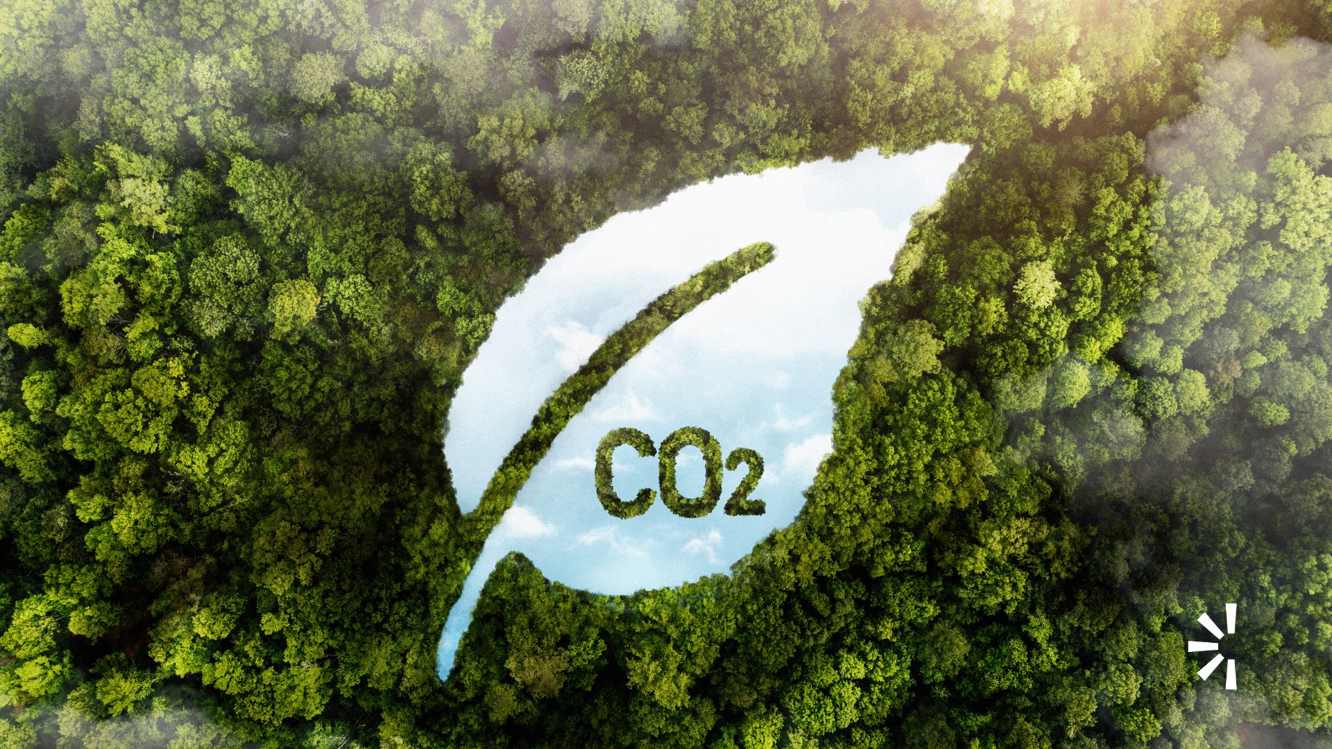 Pegada de carbono descubra a importância desse medidor