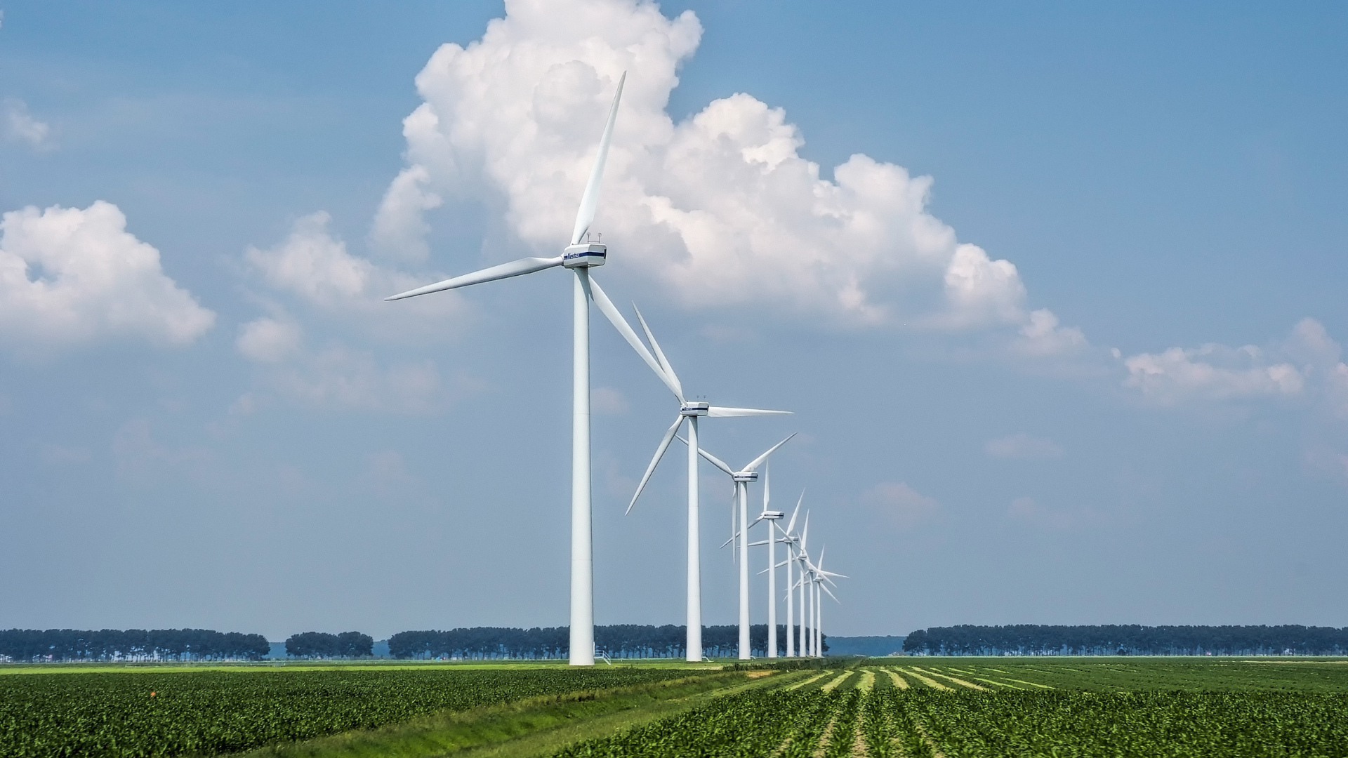 Parque de energia eólica com aerogeradores em operação no Brasil.
