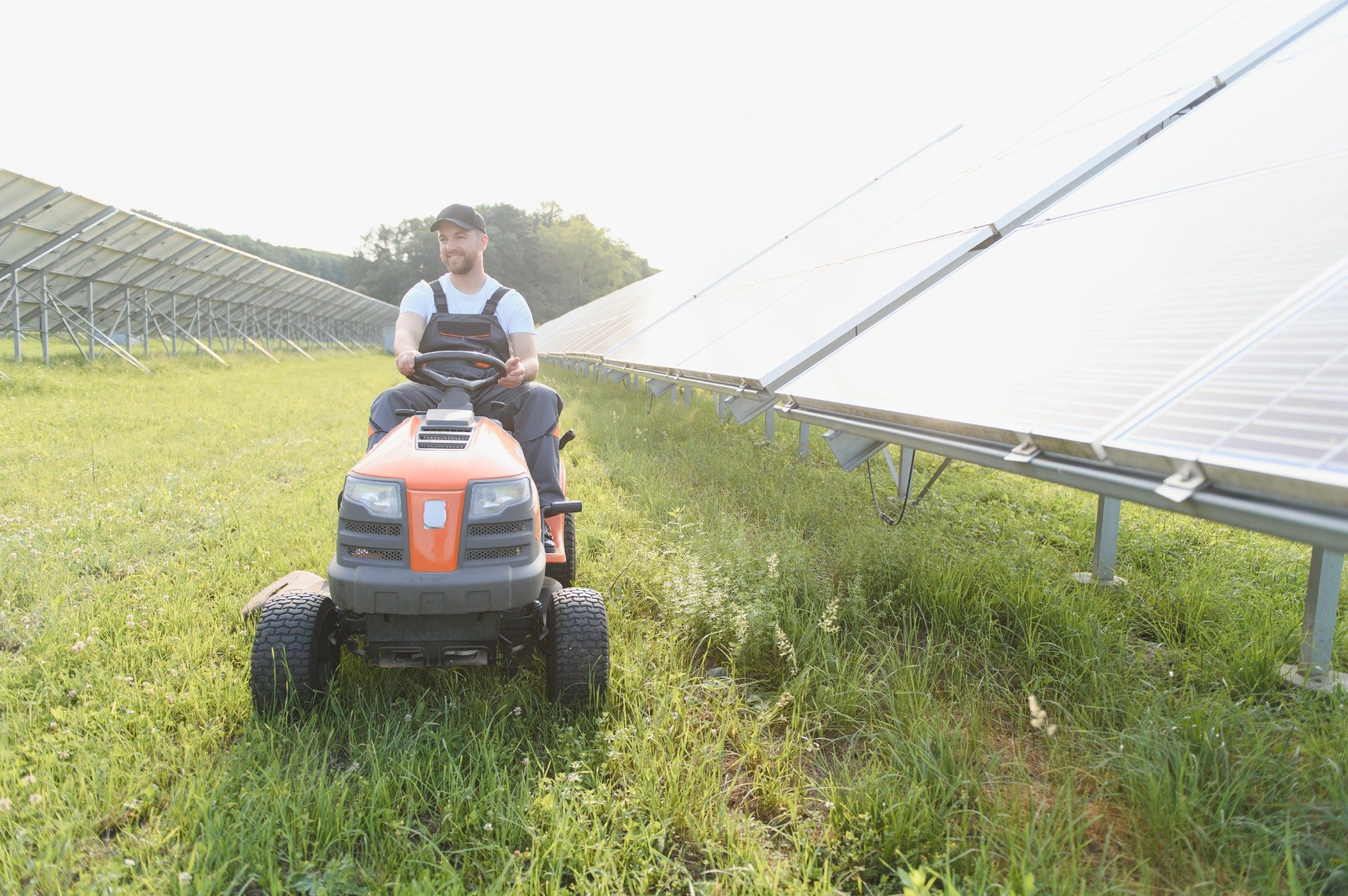 Homem em trator cortando grama entre painéis solares.